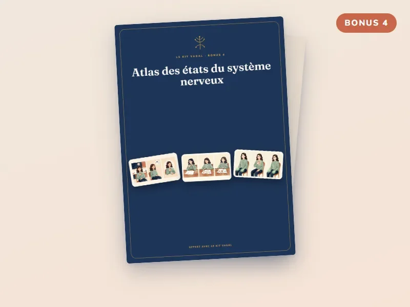 Bonus 4 : Atlas des états du système nerveux
